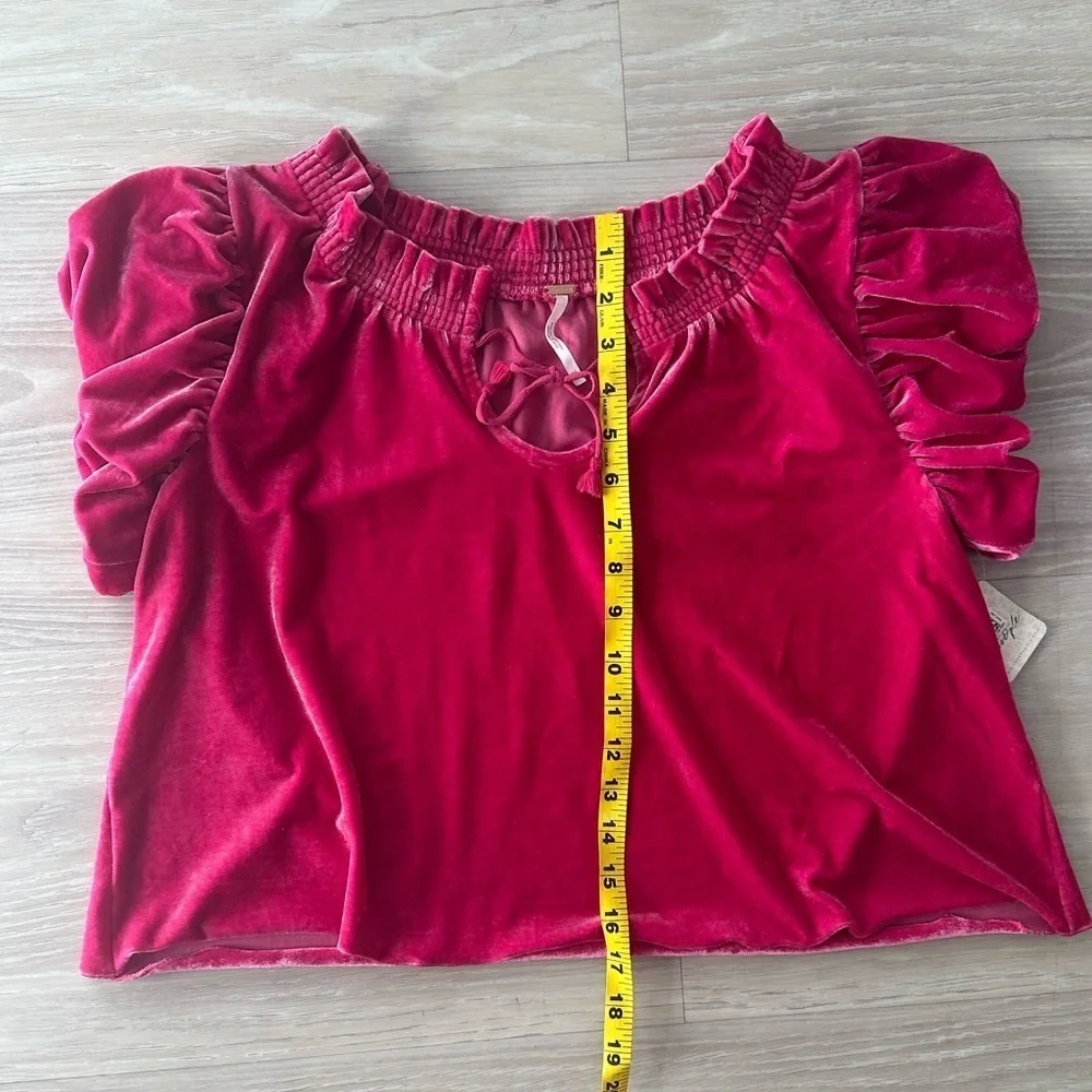 Free People Terese Velvet Ruffle Sleeve Top